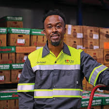 High-Visibility Color Block Ripstop Work Shirt